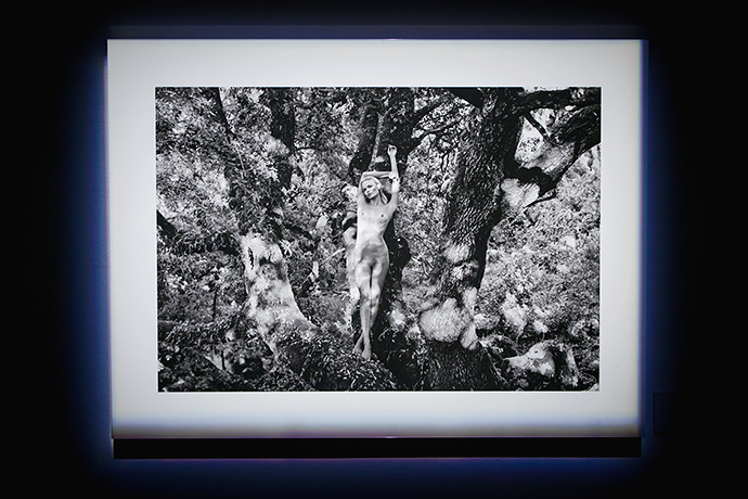 Открытие выставки "Календарь Pirelli 2012" (фото 14)