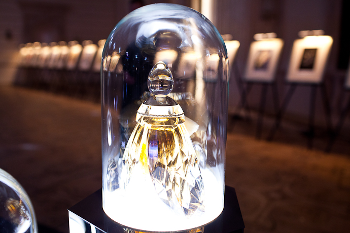 Премьера "Спящей красавицы" в Большом театре (фото 28)