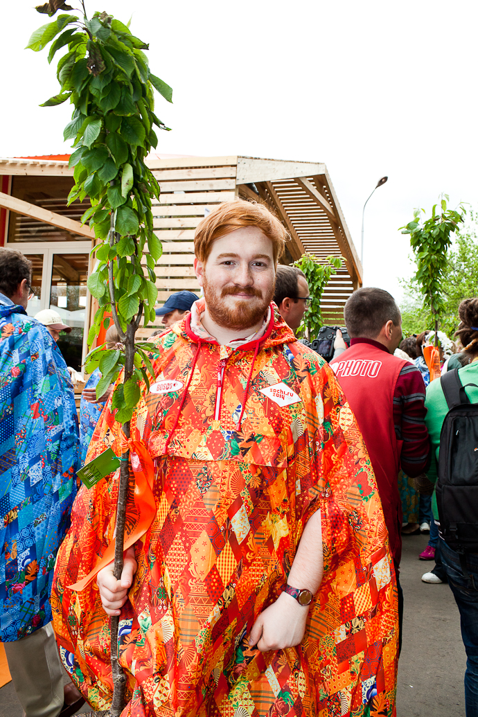 Посадка черешневого леса в парке Горького (фото 32)