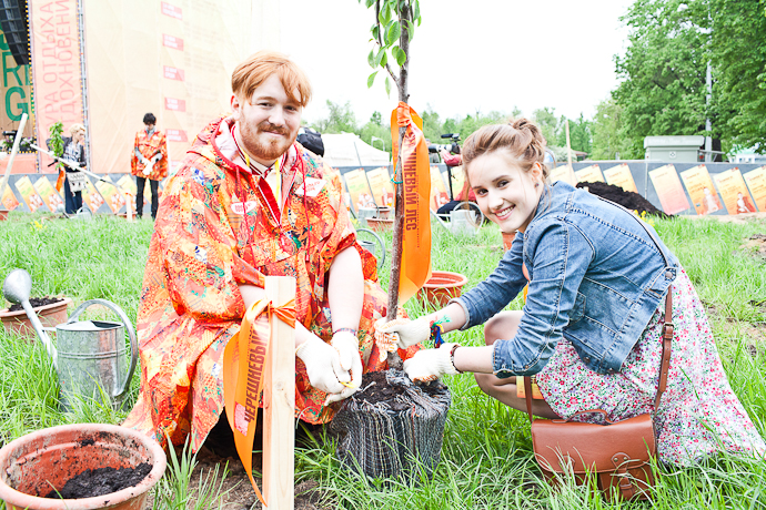 Посадка черешневого леса в парке Горького (фото 41)