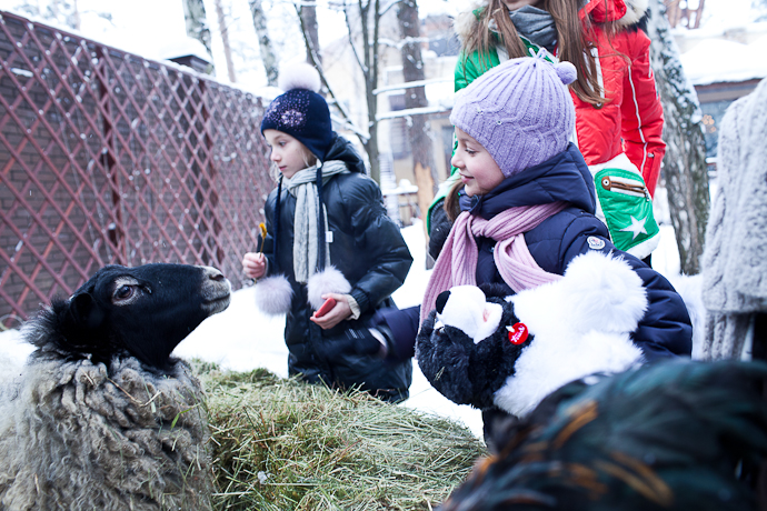 Масленица в "Подмосковных вечерах" (фото 5)