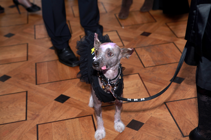 Вручение премии "GQ — Человек года" (фото 40)