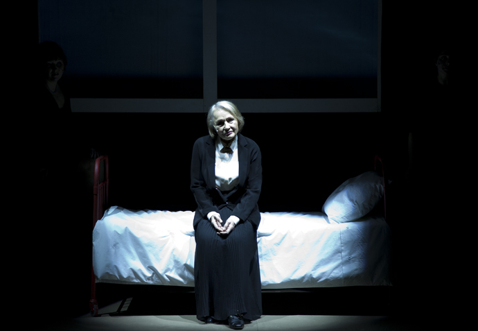 Благотворительный спектакль в Политеатре (фото 18)