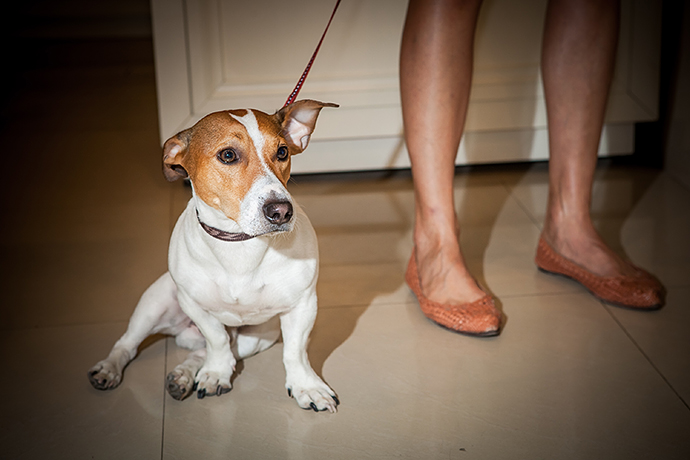 В Москве прошел Charity Day In (фото 37)