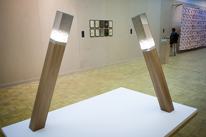 Молодое искусство на московской биеннале (фото 16)