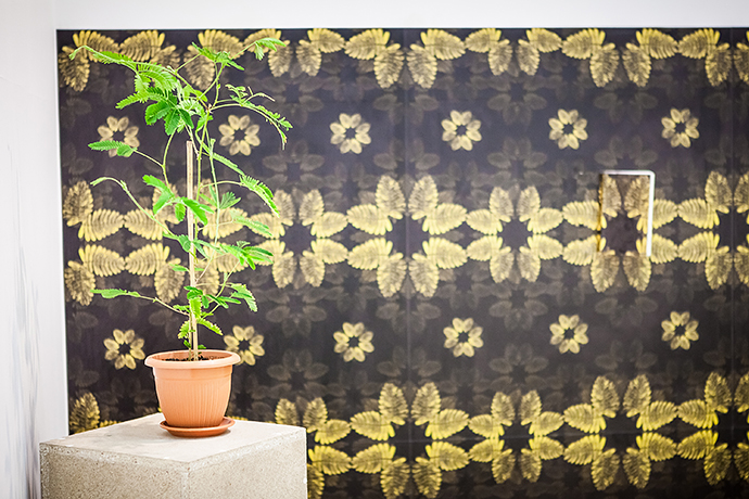 Молодое искусство на московской биеннале (фото 42)