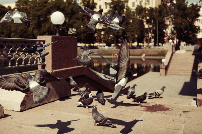 Патриаршие пруды (фото 1)