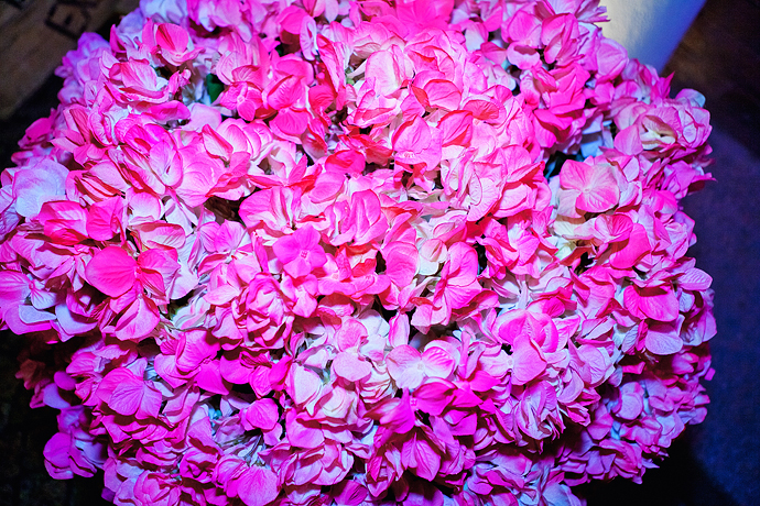 Итальянское 5-летие еженедельника Grazia (фото 7)