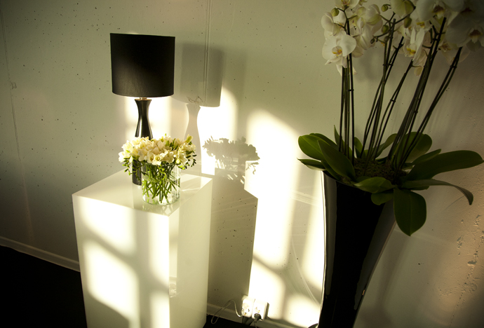 Ювелирная выставка Chanel в Москве (фото 7)