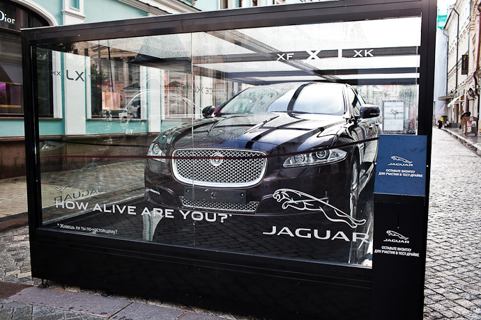 Уличная выставка Тайлера Шилдса (фото 2)