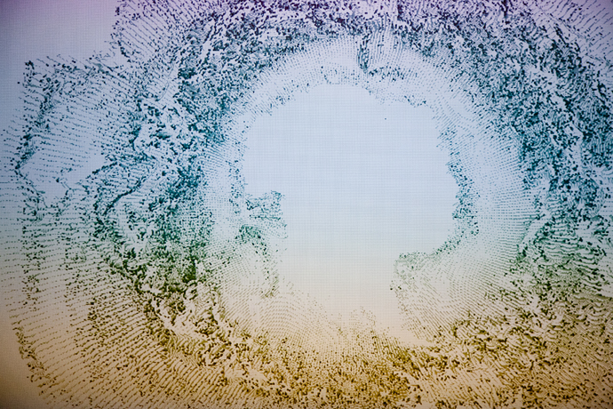 Открытие выставки Lexus Hybrid Art 2012 (фото 6)