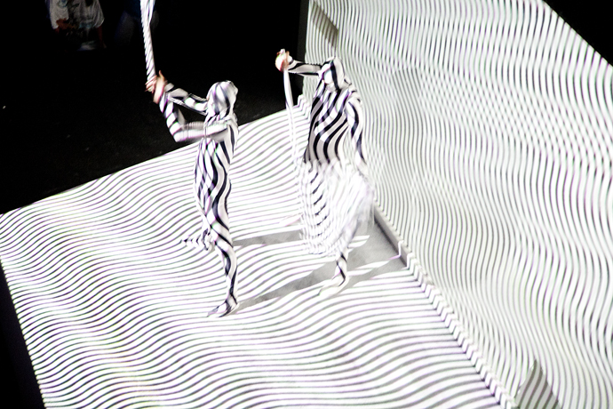 Открытие выставки Lexus Hybrid Art 2012 (фото 12)