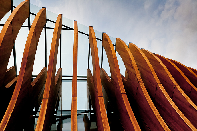 Премьера "Права на лево" в Барвихе (фото 5)