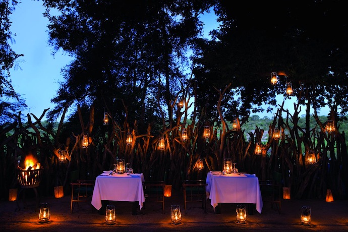 Сафари в Южной Африке (фото 5)