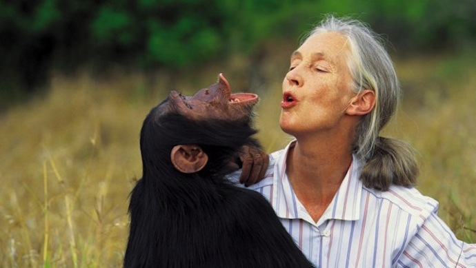 "Благотворительная" экскурсия по Африке (фото 3)