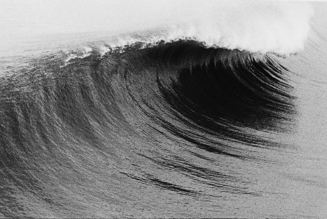 Водная стихия Армани в Гран-Пале (фото 1)