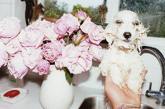 Фотографии Юргена Теллера (фото 7)