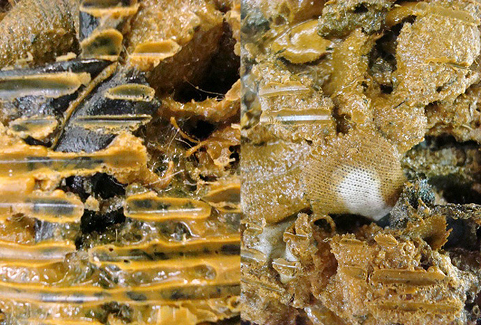 Выставка Хельмута Ланга в Ист Хэмптоне (фото 8)