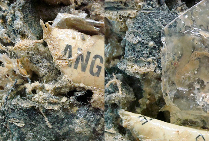 Выставка Хельмута Ланга в Ист Хэмптоне (фото 4)