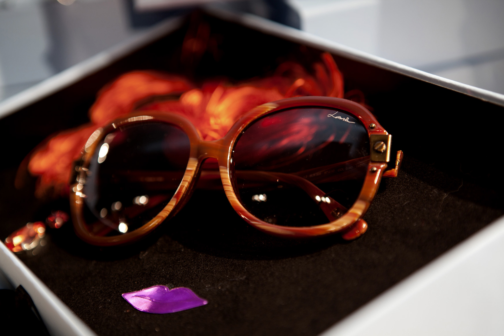 Lanvin и De Rigo создали коллекцию оптики (фото 1)