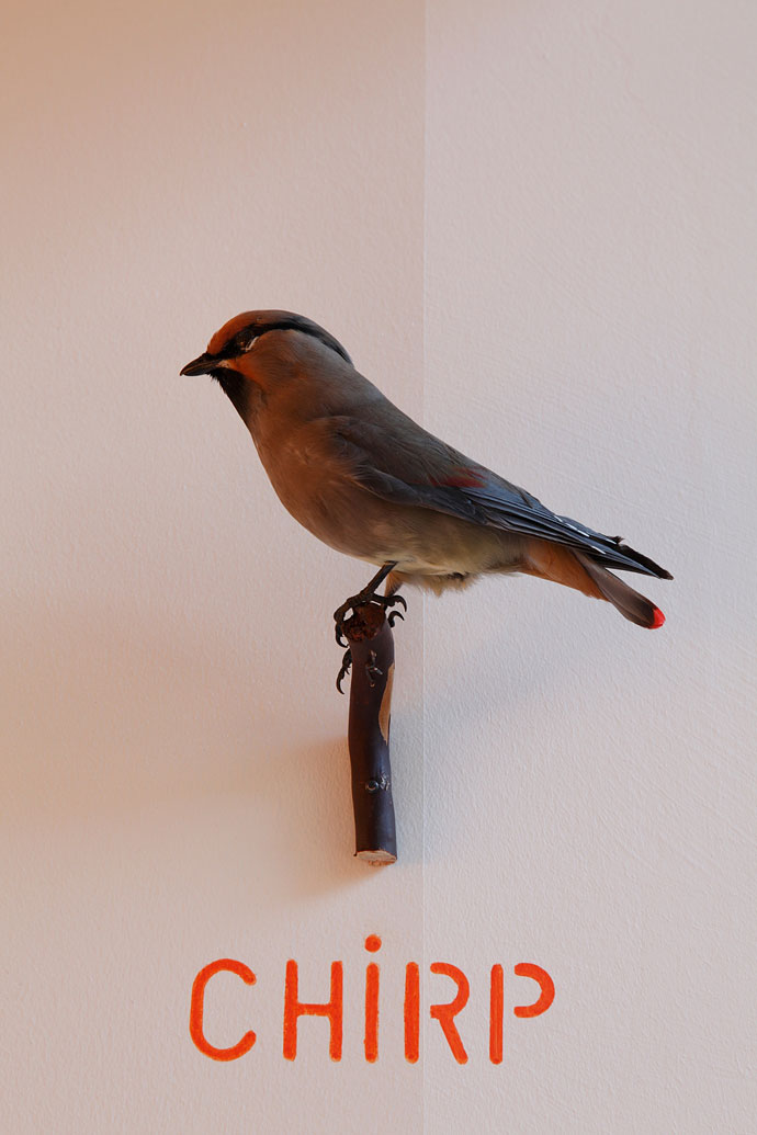 Бутик Tommy Hilfiger в Лондоне (фото 6)