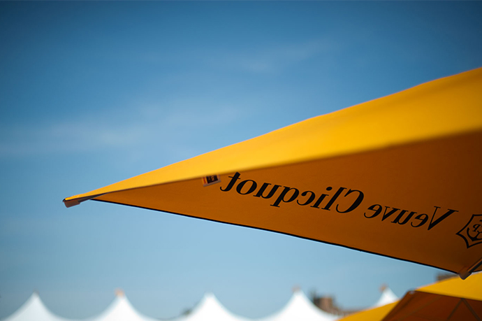 Veuve Clicquot Polo Classic в Нью-Йорке (фото 17)