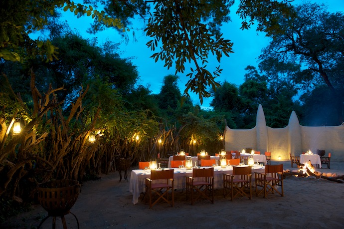 Сафари в Южной Африке (фото 6)