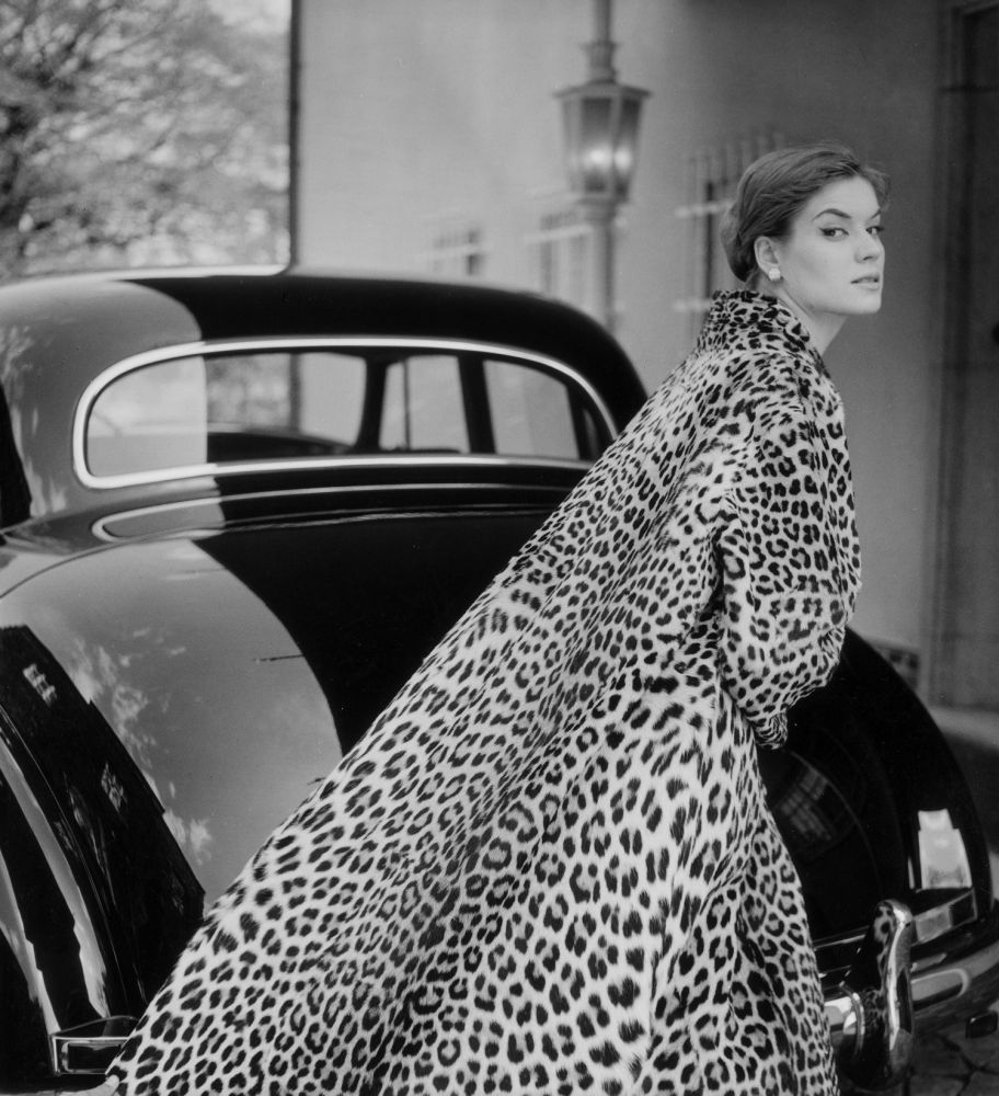 Новая выставка в МДФ (фото 3)