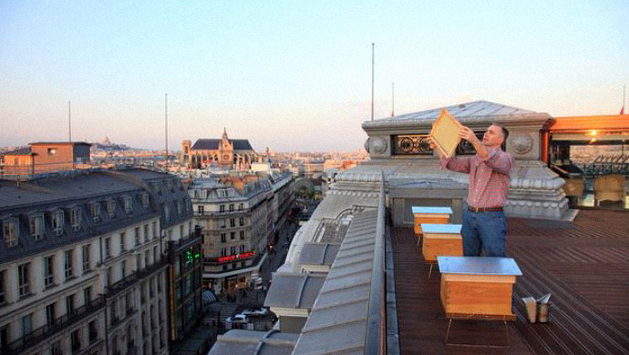 Мед от Louis Vuitton (фото 1)