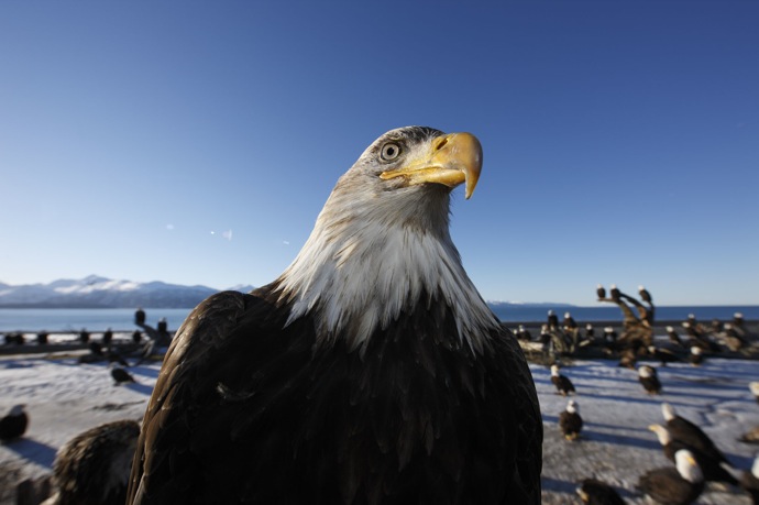 Выставка современной японской фотографии (фото 4)