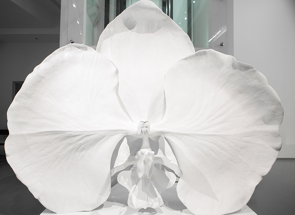 Открытие выставки Марка Куинна в Москве (фото 17)