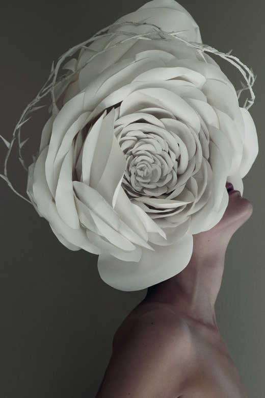 Lancome представляет выставку Roses by... (фото 1)