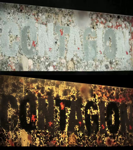 "Заразная" реклама (фото 3)