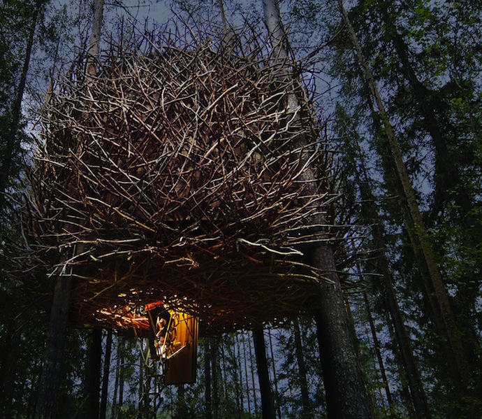 Арт-отель в ветвях деревьев (фото 2)