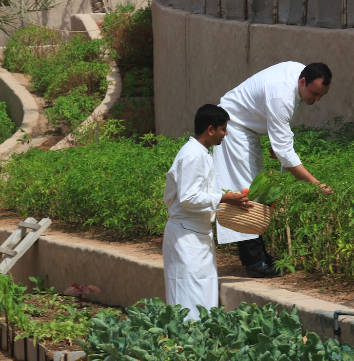 Экоотдых на курортах Six Senses (фото 2)