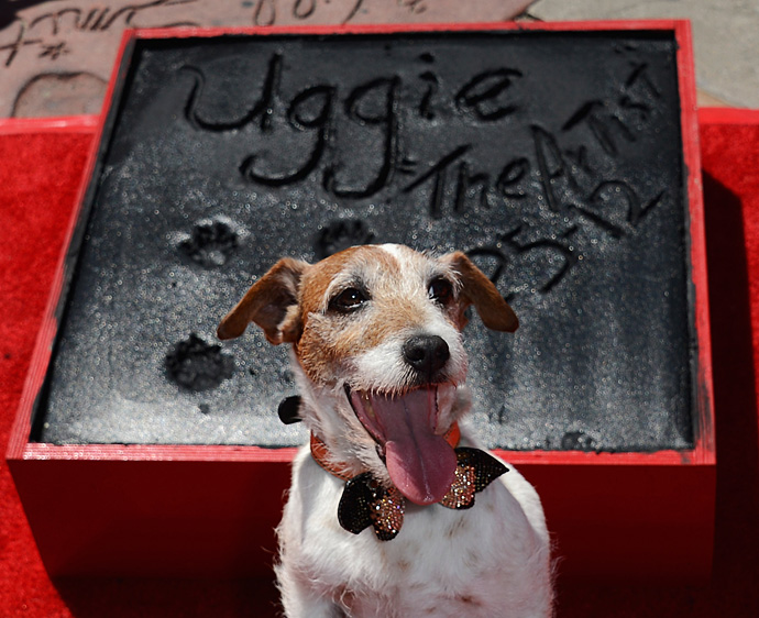 Собачка из "Артиста" написала книгу (фото 1)