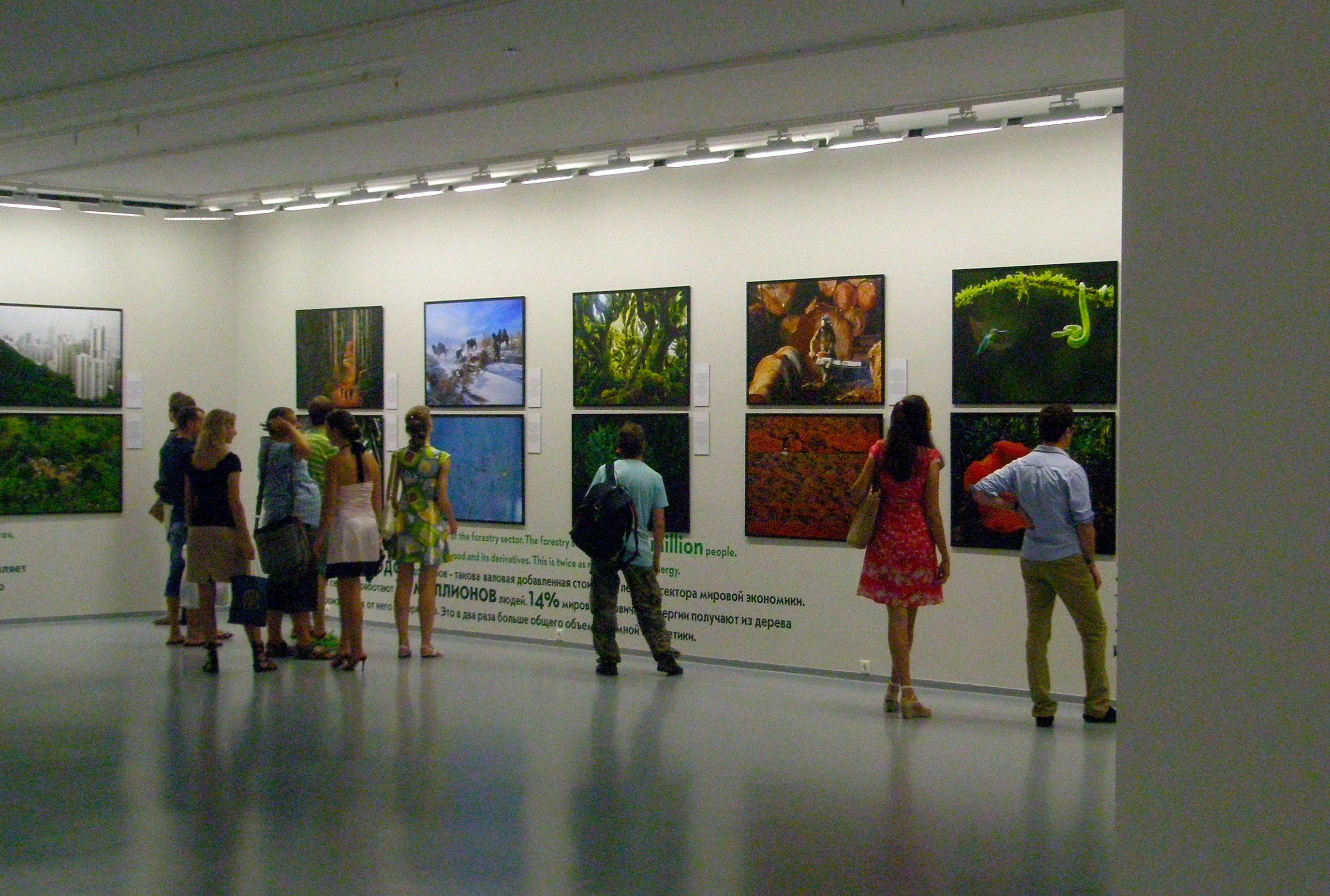 МАММ наполнился духом леса (фото 8)