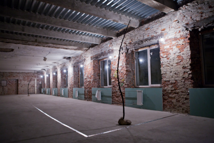 Выставка Дарьи Иринчеевой в Петербурге (фото 1)