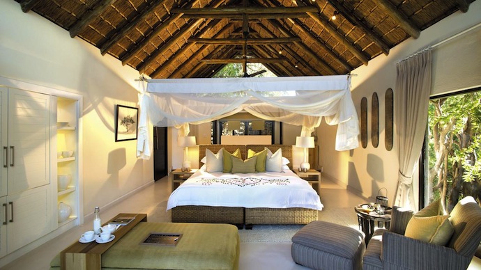 Сафари в Южной Африке (фото 15)