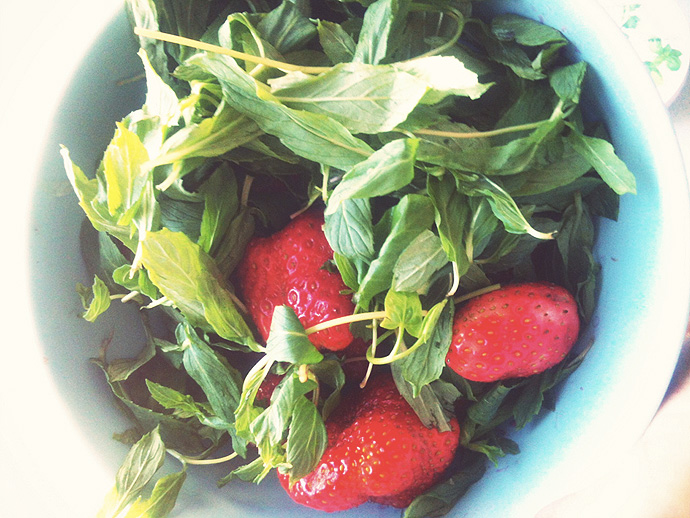 Ягодный смузи с мятой (фото 2)