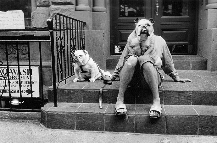 Жизнь в объективе Эллиотта Эрвитта (фото 13)