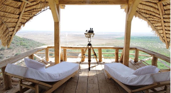 Роскошный отдых в африканской саванне (фото 13)