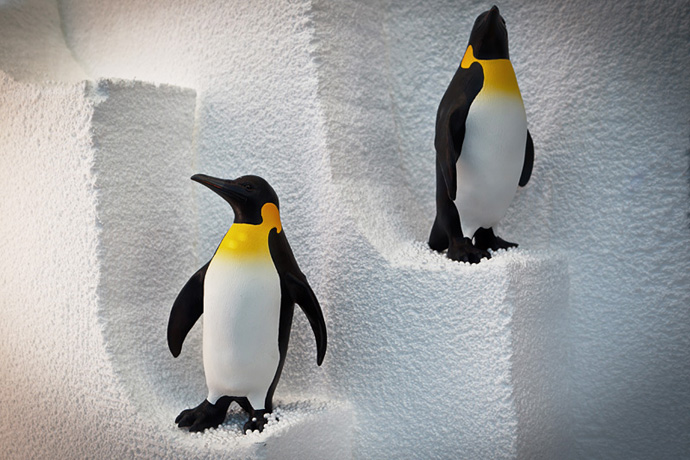 Лучшие витрины мира: Babochka в Петербурге (фото 7)