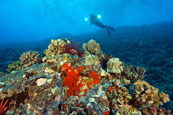 Удивительное путешествие на вулкан (фото 18)