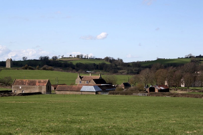 Галерея Hauser & Wirth в английской деревне (фото 2)