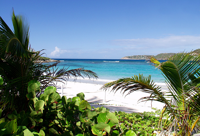 Лучшее масло для загара с Карибских островов (фото 1)