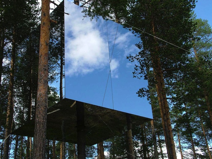 Арт-отель в ветвях деревьев (фото 7)