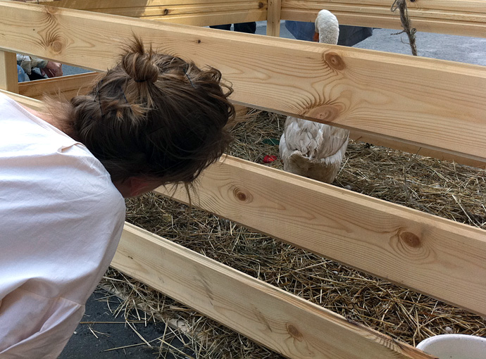 Фермерский рынок "Лавки" на "Стрелке" (фото 11)