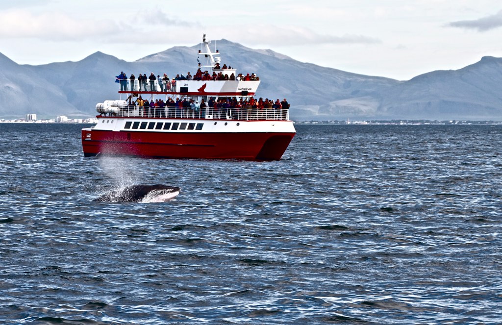 Незабываемая Исландия Николая Красавина (фото 14)