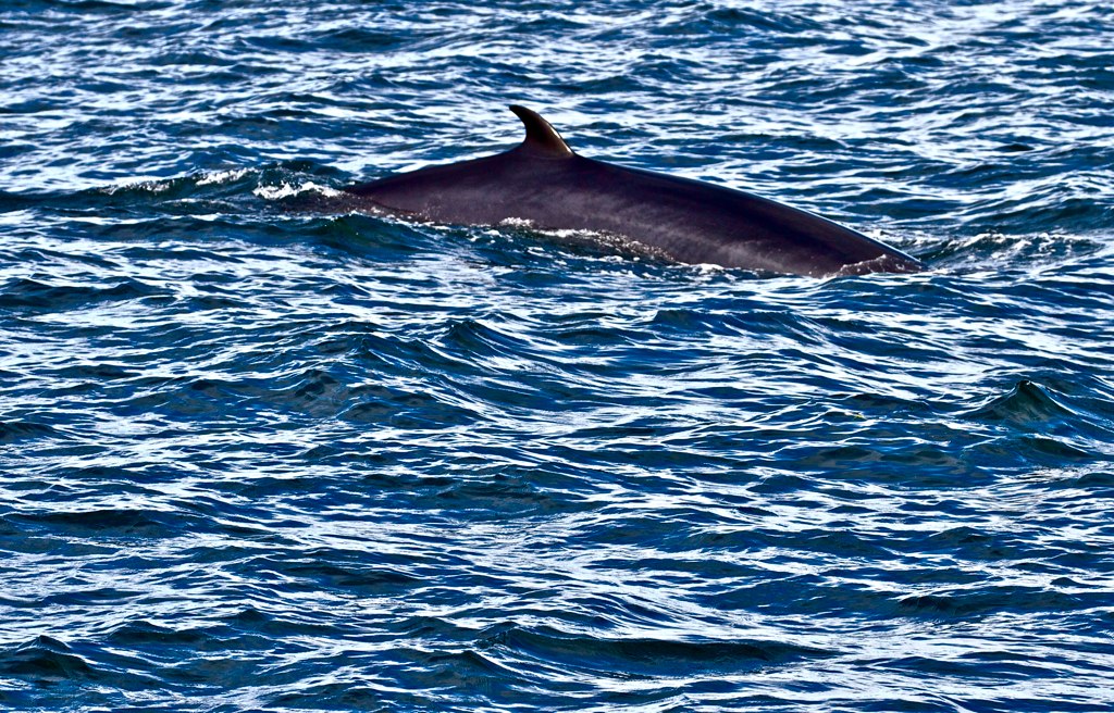 Незабываемая Исландия Николая Красавина (фото 15)